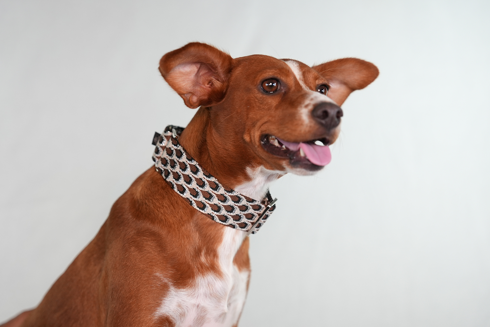 Ancho Love Addiction - Plata - Imagen 2