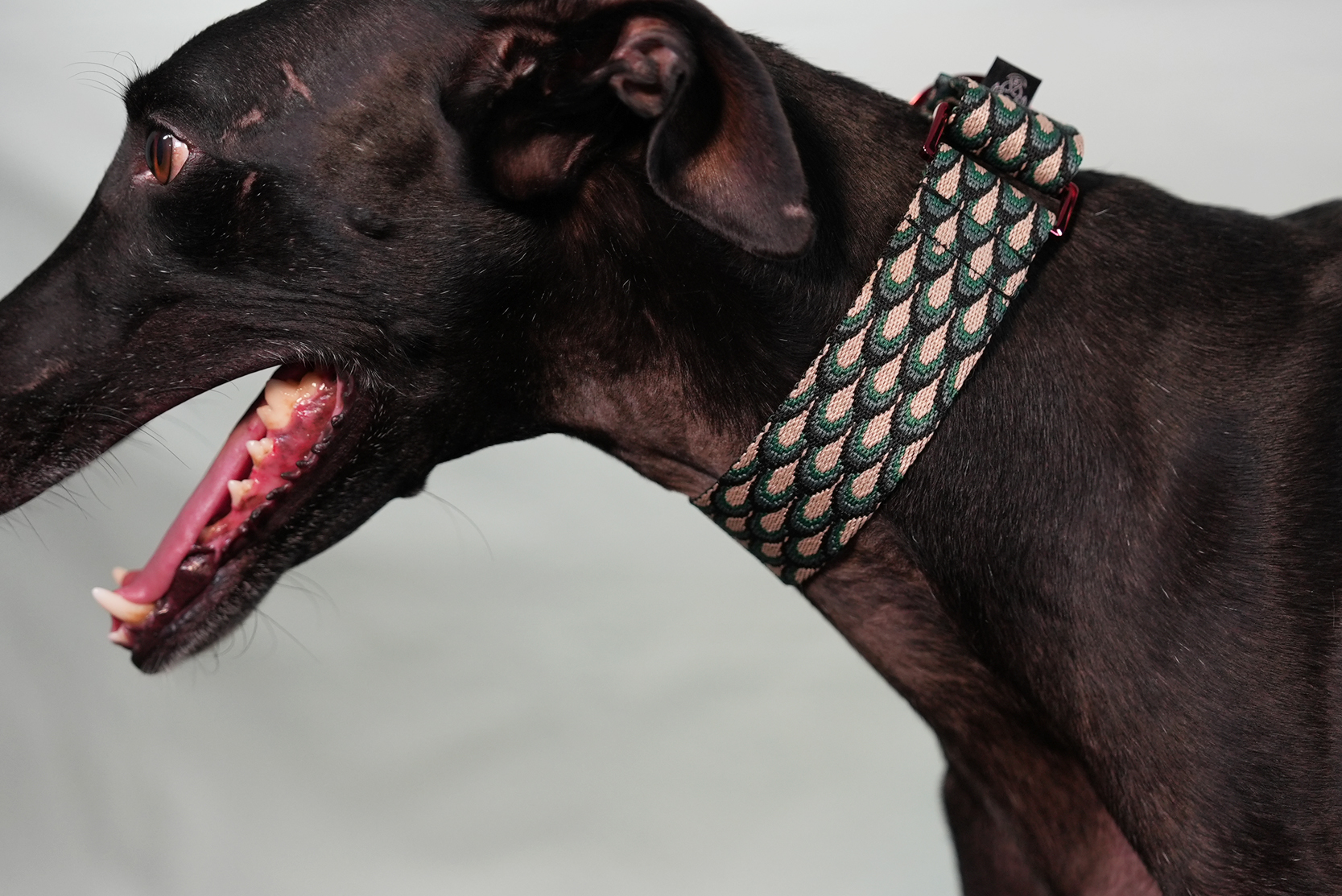 Ancho Love Addiction - Verde - Imagen 3
