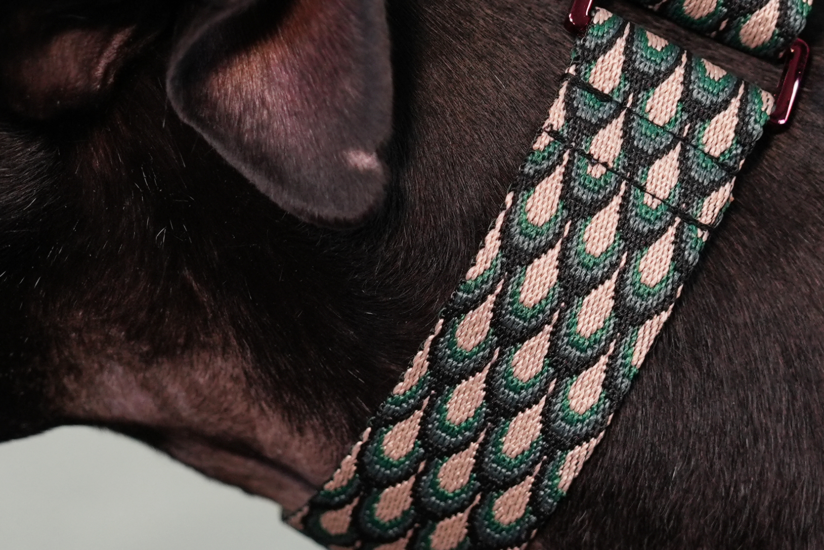 Ancho Love Addiction - Verde - Imagen 2
